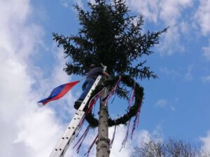 prvi maj, okrašen mlaj, venec na mlaju